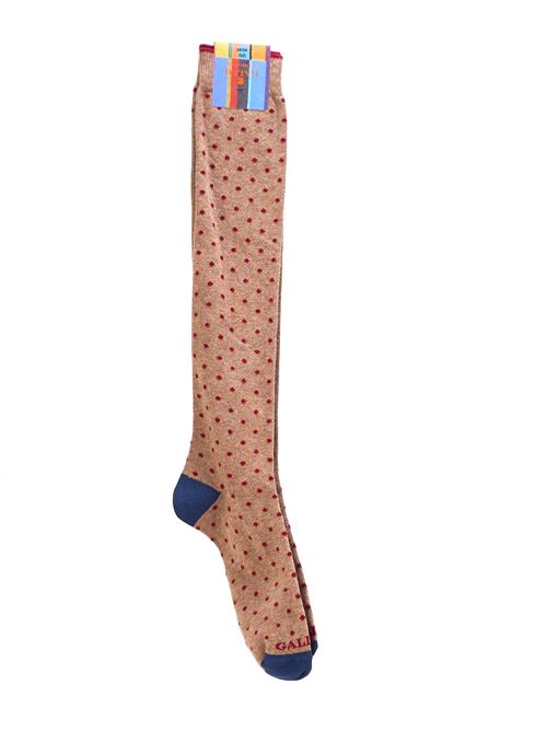 Long beige socks with polka dot pattern Gallo GALLO | Socks | AP10301332118